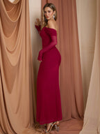 Off Shoulder Ruched Zipper Back Long Sleeve Mesh Dress